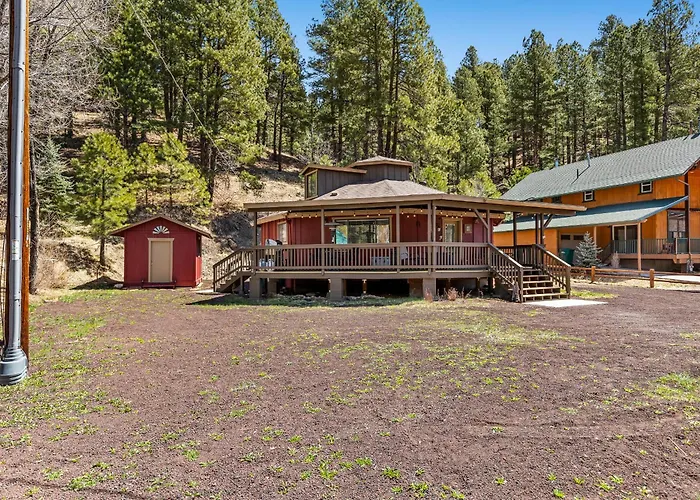 Ponderosa Pines * Mountainaire